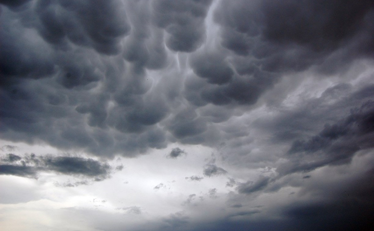 Погода в Туле 6 июля: похолодание, дождь и пасмурное небо