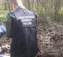 Пенсионер из Суворовского района зарубил друга топором и закопал труп в лесу