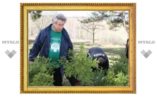 Депутаты Тульской областной Думы посадили в Ясной поляне елки