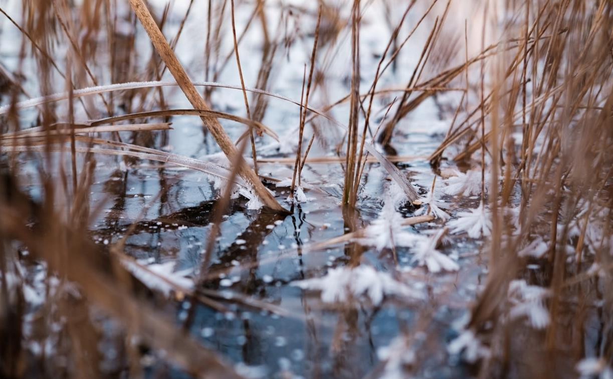 Первые зимние выходные в Тульской области будут морозными и бесснежными 
