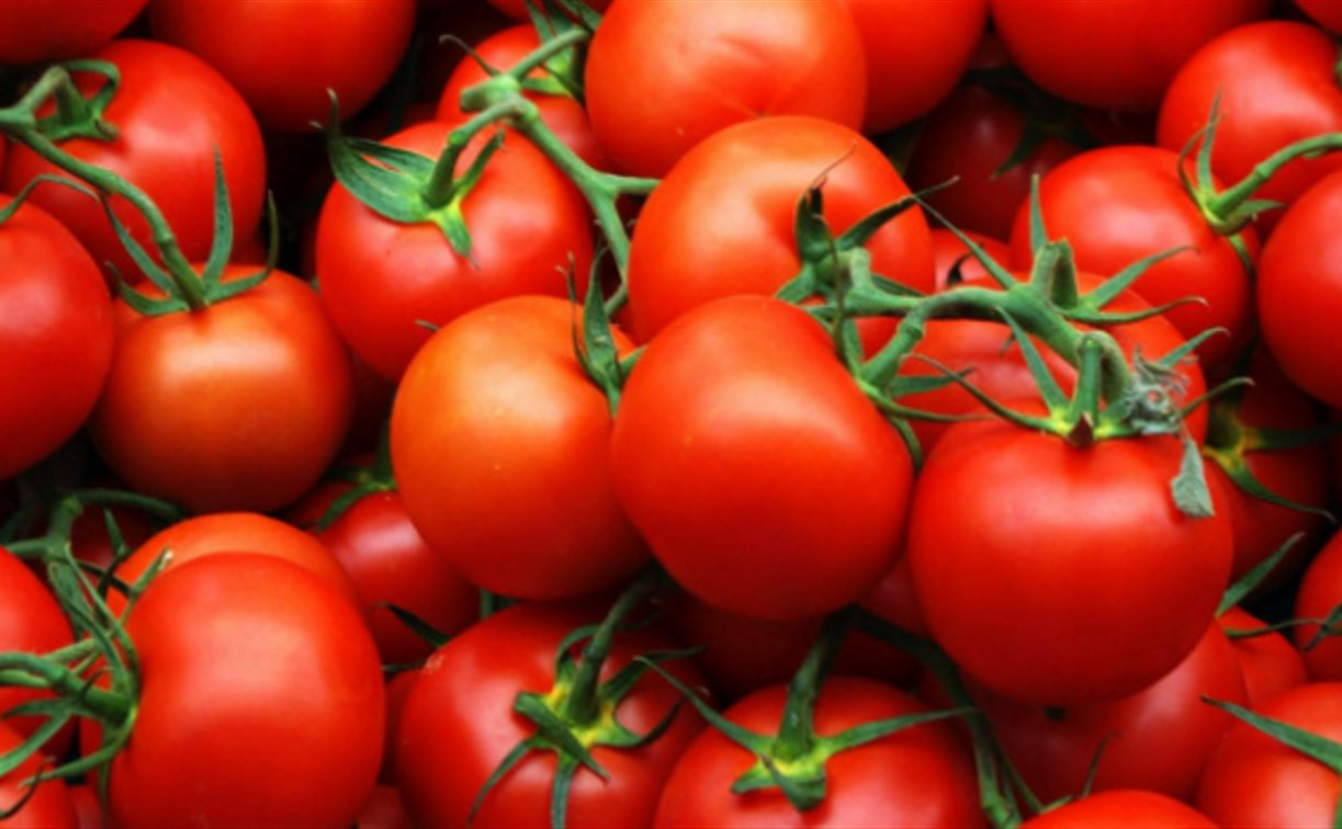 Турецкие томаты вернутся на российские прилавки 1 ноября