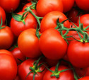 Турецкие томаты вернутся на российские прилавки 1 ноября