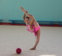 Тульские гимнастки отличились в Москве