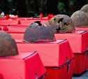 В Петелино захоронят останки 30 защитников Тулы, погибших в ноябре 1941 года