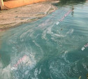 В Богородицком районе пруд окрасился в ядовито-бирюзовый цвет