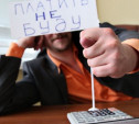 Предприниматель из Ленинского района скрыл от государства 33 млн рублей налогов 