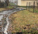 Жители Чернского района: «Мы уже 30 лет живем со средневековой канализацией в поселке»