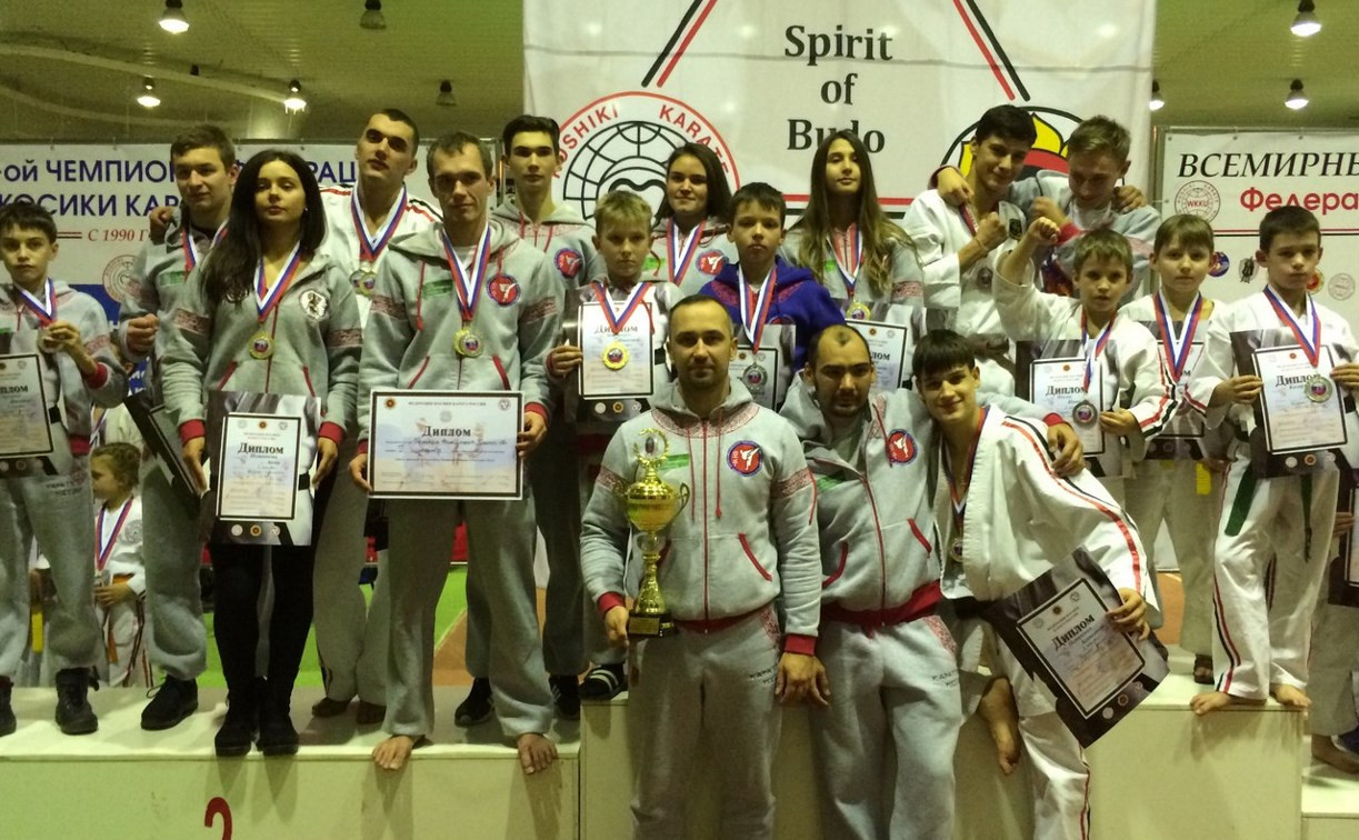 Спортсмены из Тульской области привезли 29 медалей по полноконтактному каратэ 