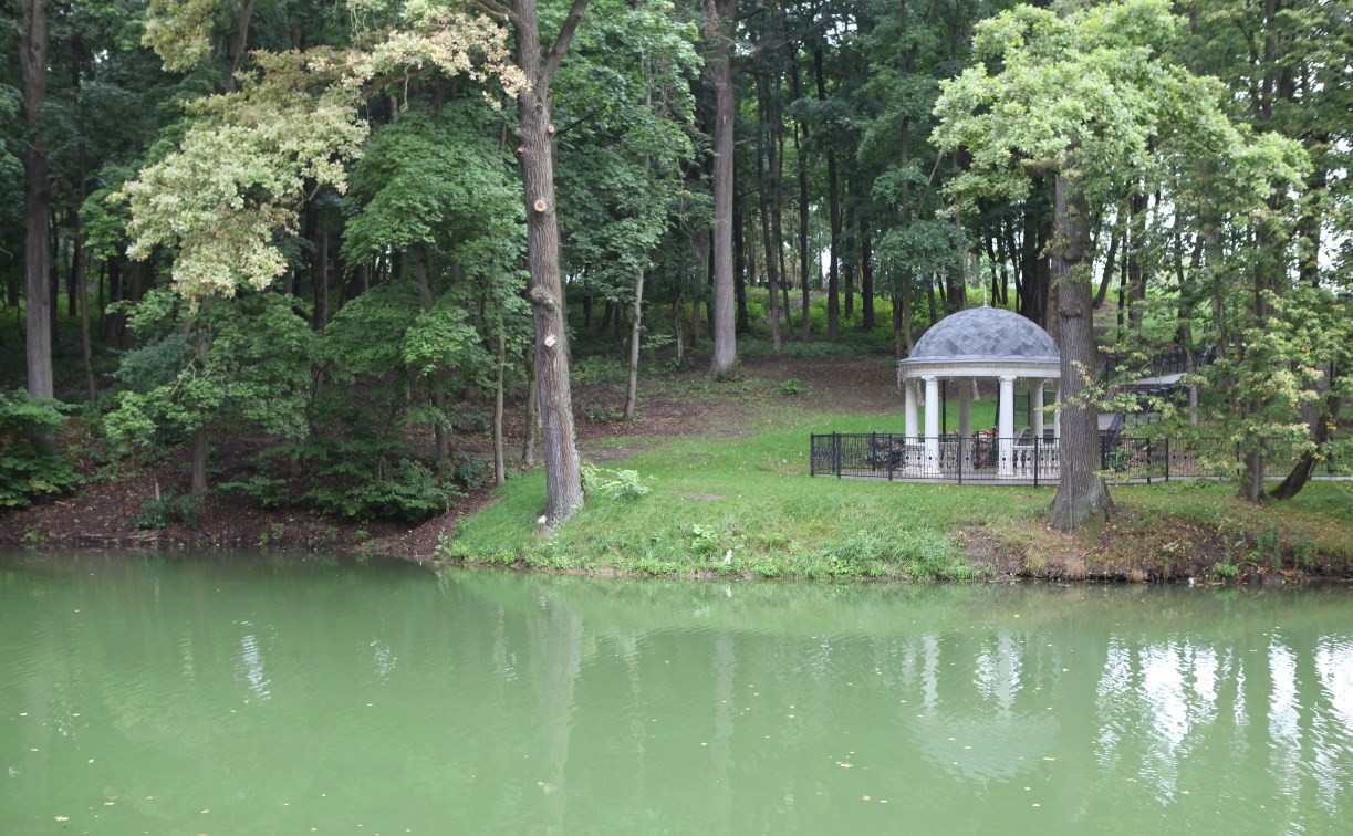 В пруду Платоновского парка обнаружены нефтепродукты