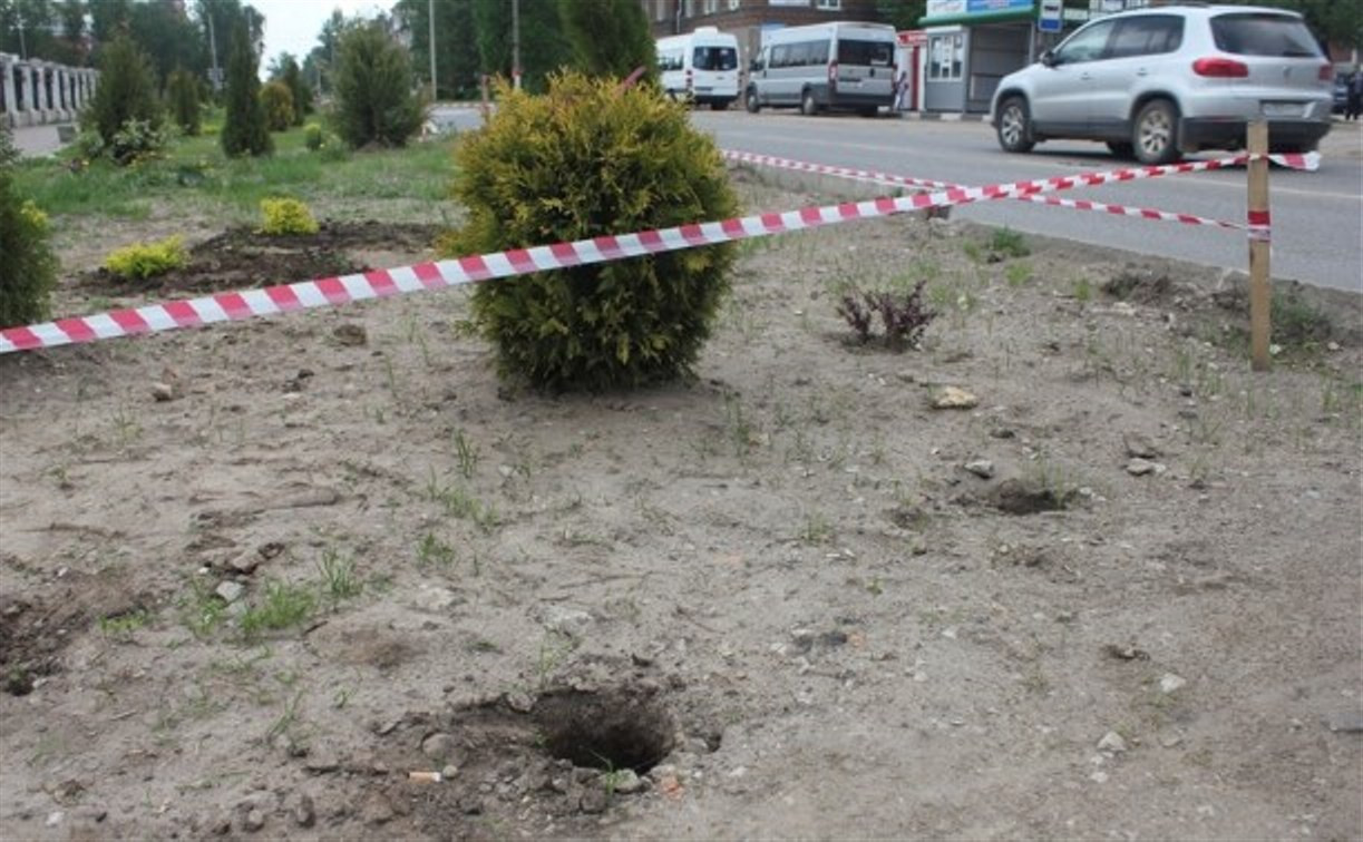 В Алексине неизвестные выкопали саженцы с аллеи в честь 70-летия Победы