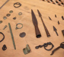 Археологи обнаружили в Тульской области следы двух древних поселений