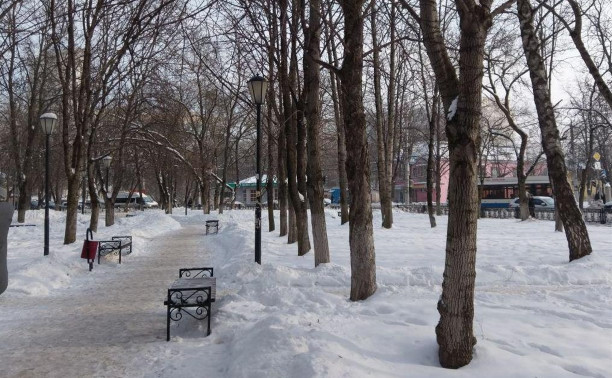 В сквере на улице Болдина в Туле установят площадку для воркаута