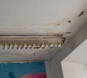 Протечки на потолке и битая посуда: каменская прокуратура выявила массу нарушений в школьной столовой