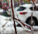 Погода в Туле 14 февраля: до +2 градусов и мокрый снег