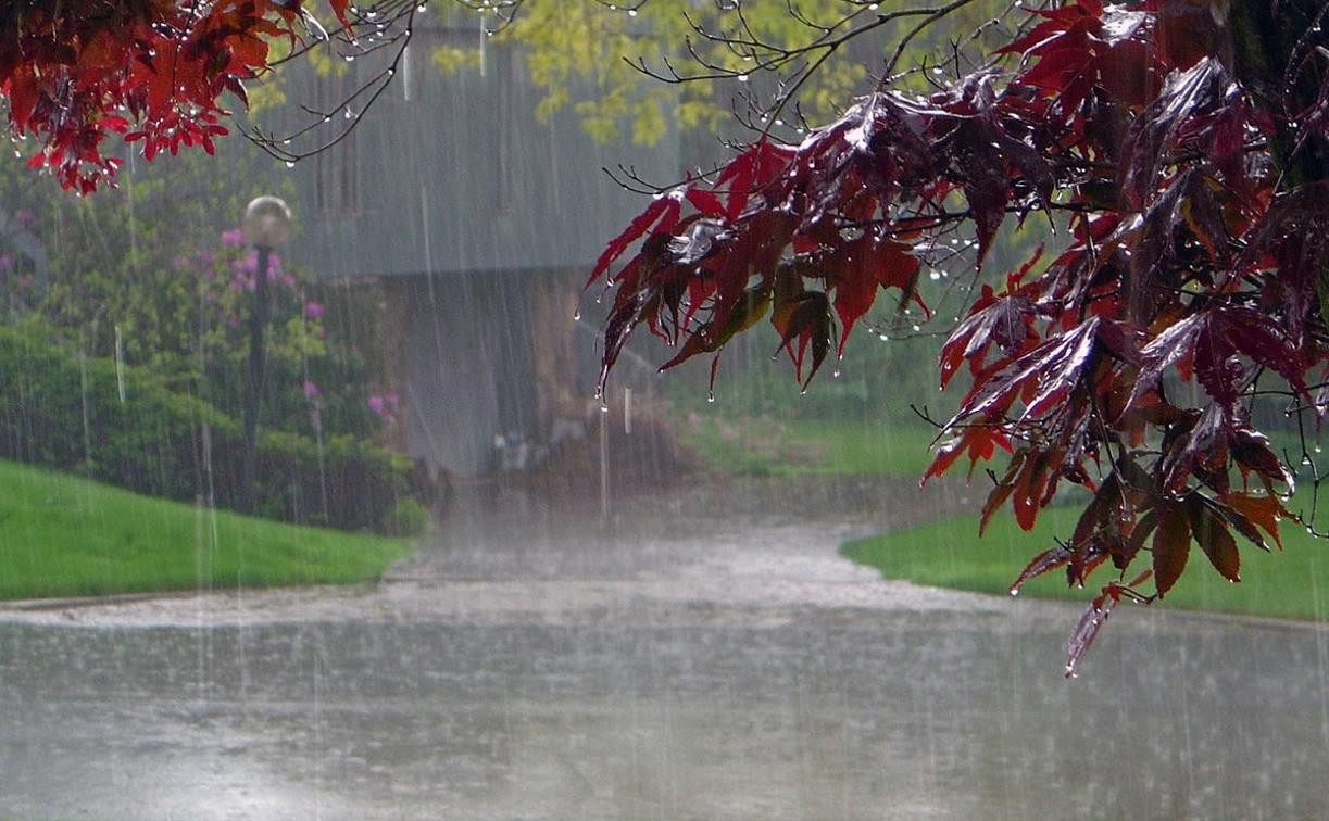 Погода в Туле 29 мая: сильный дождь, грозы и летнее тепло