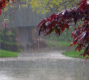 Погода в Туле 29 мая: сильный дождь, грозы и летнее тепло
