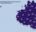 В каких городах Тульской области есть COVID-19: карта на 3 июля