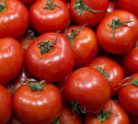 В Новомосковске уничтожили 32 кг турецких помидоров