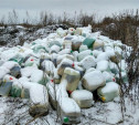 Свалка химикатов в Туле: в возбуждении дела в отношении «Щегловского вала» отказано
