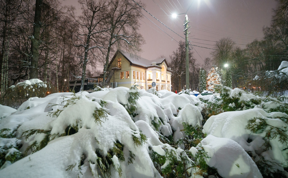 Вечерний снегопад в Туле: фоторепортаж
