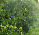 Погода в Туле 26 июня: тепло, возможен небольшой дождь