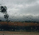 Погода в Туле 22 сентября: небольшой дождь, сильный ветер и до +11