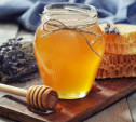 Тульские пчеловоды смогут реализовывать  свою продукцию на тематических ярмарках