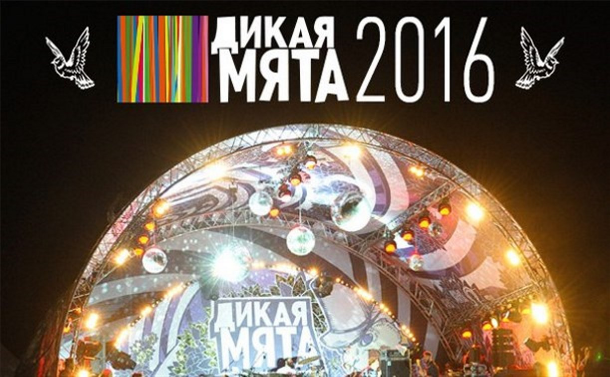 Фестиваль «Дикая Мята» в 2016 году состоится 24-26 июня 
