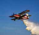 Тульские леса будут мониторить с самолетов на предмет пожаров