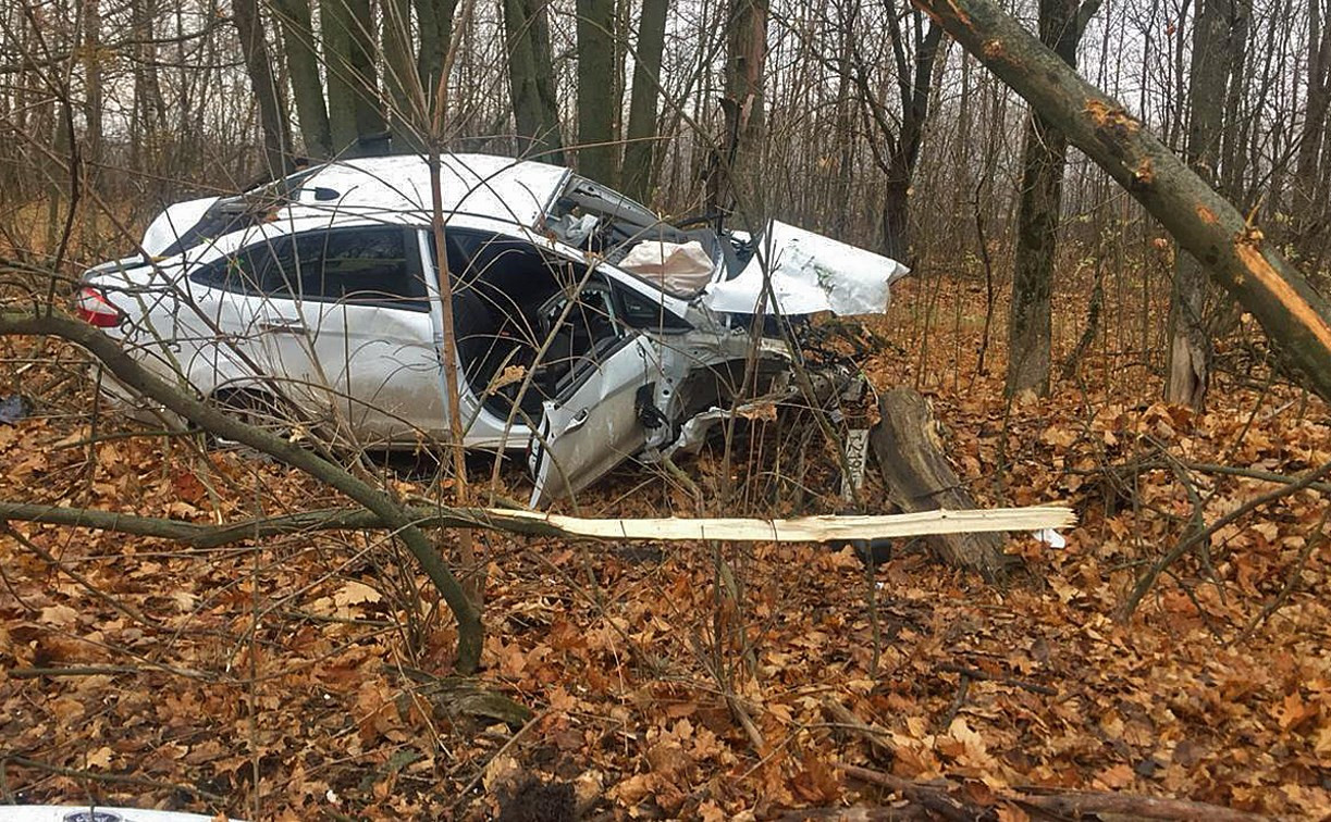 Под Тулой Ford Fiesta вылетел с дороги в лесополосу: пострадал водитель