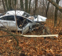 Под Тулой Ford Fiesta вылетел с дороги в лесополосу: пострадал водитель