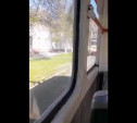 «Я качусь назад!»: В Криволучье трамвай внезапно поехал задом – видео