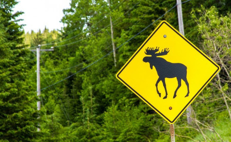 Дежурная часть