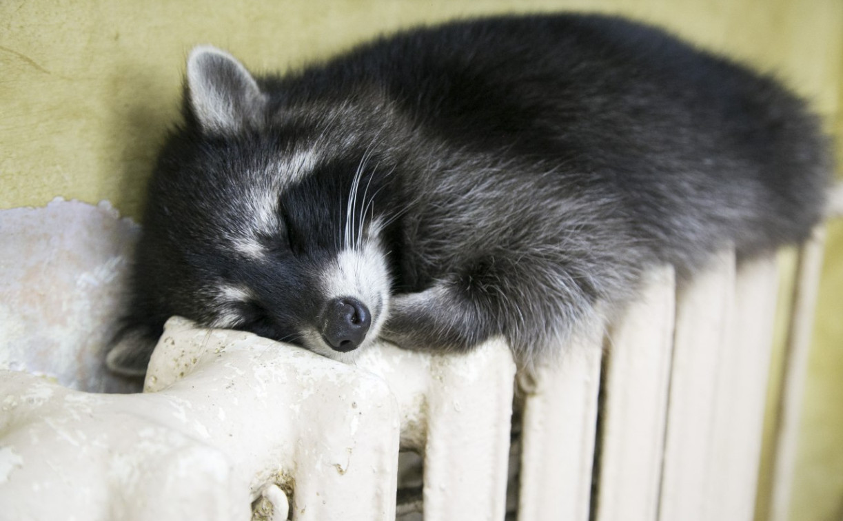 Во все многоквартирные дома Тульской области подаётся тепло