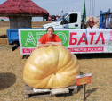 Урожай тулячки Екатерины Колтыковой занял 4-е место на Всероссийском конкурсе гигантских тыкв