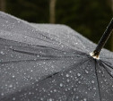 Погода в Туле 16 мая: кратковременный дождь и сильный ветер