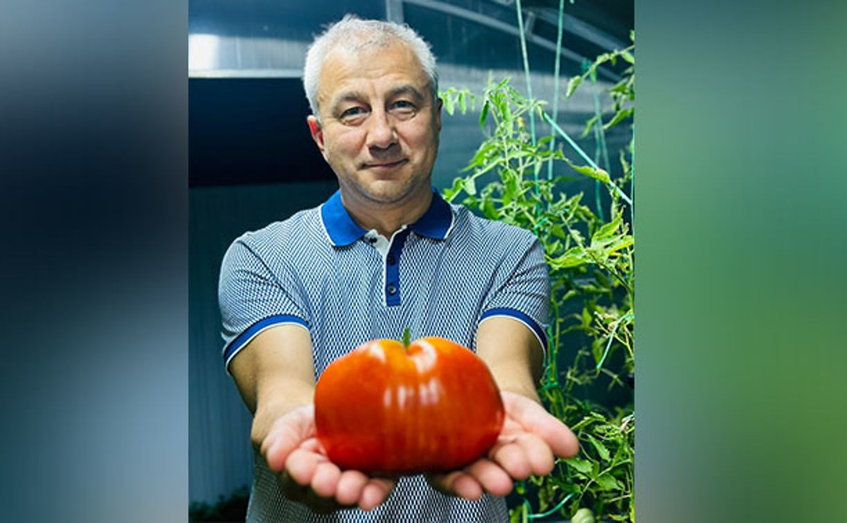 Глава Ефремовского района запустил помидорный флешмоб 