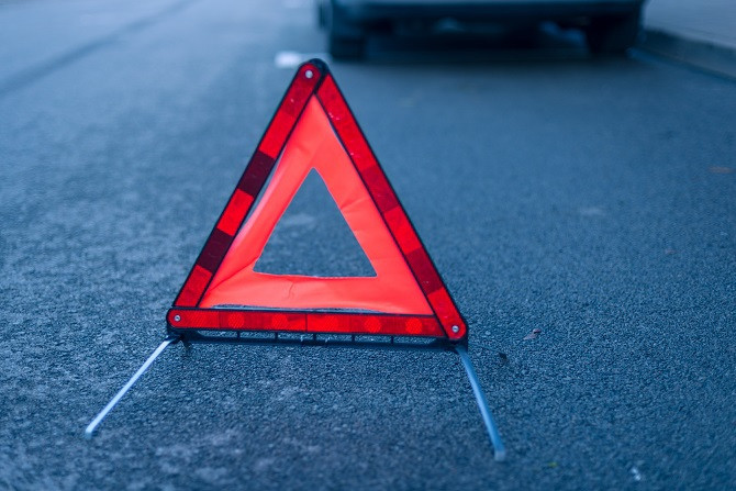 В Туле водитель маршрутки сбил косулю на Калужском шоссе