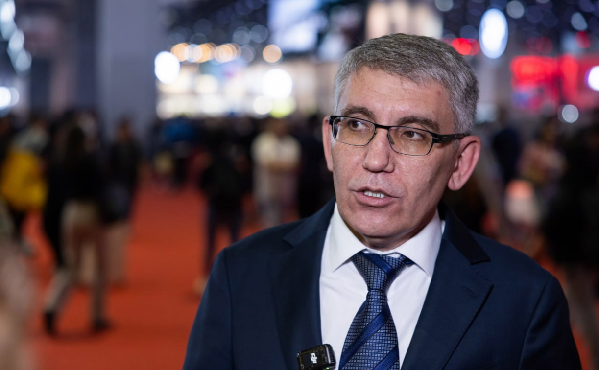 «Если на подходе можно голову свернуть, то это не норма»: Дмитрий Миляев об уборке снега в Тульской области