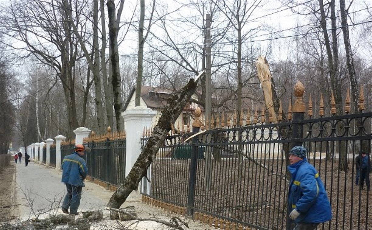 Из-за сильного ветра в Центральном парке упало несколько деревьев