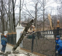 Из-за сильного ветра в Центральном парке упало несколько деревьев
