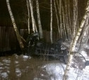 В Малахово 10-летняя девочка разбилась на снегоходе