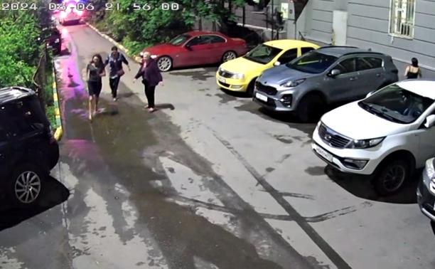 В Туле женщина с камнем атаковала автомобили и напала на мужчину с криками: «Чтоб ты сдох, Сережа!»