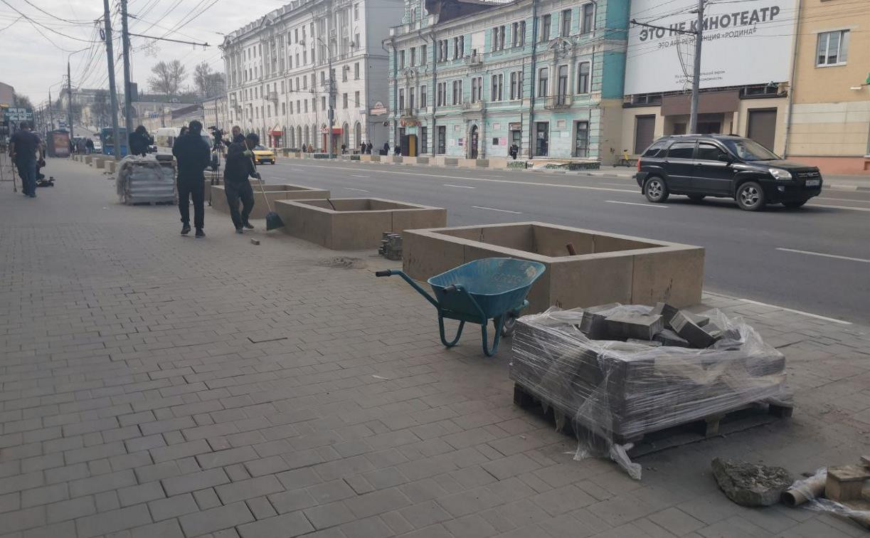 На проспекте Ленина в Туле высадят 72 европейские липы
