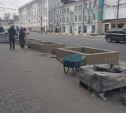 На проспекте Ленина в Туле высадят 72 европейские липы