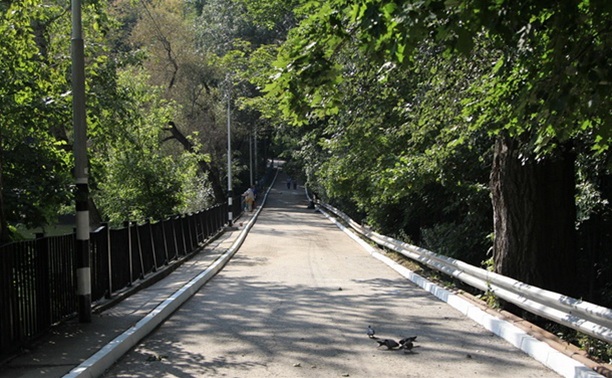 Платоновский парк приводят в порядок