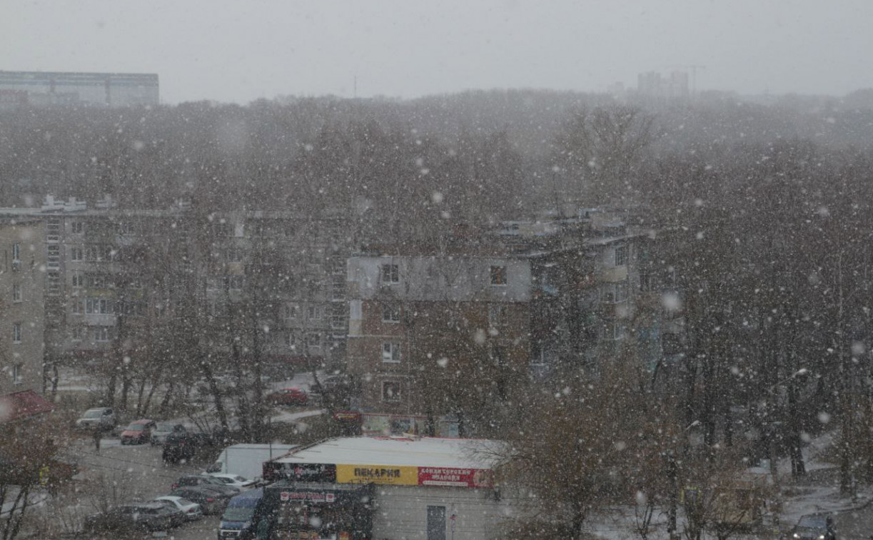 Погода в Туле 26 ноября: небольшой дождь и до +7