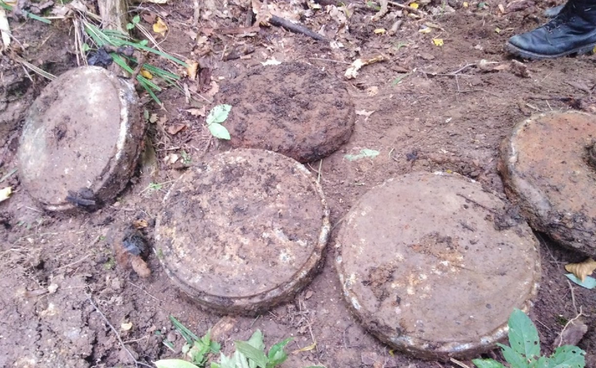 Под Тулой недалеко от трассы М-2 нашли семь немецких противотанковых мин