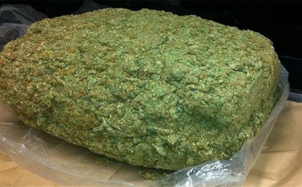 У жителя Узловой обнаружили 225 граммов марихуаны 