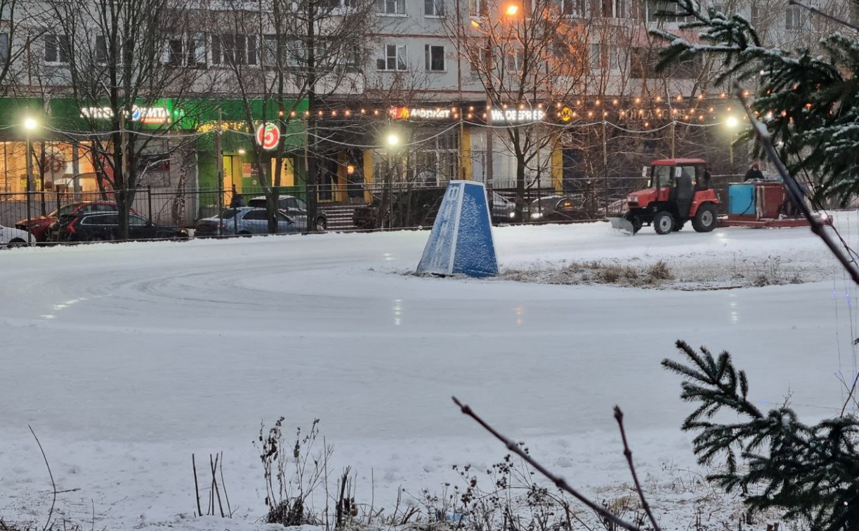 На катке в Заречье пройдет мини-фестиваль «Лед надежды нашей»